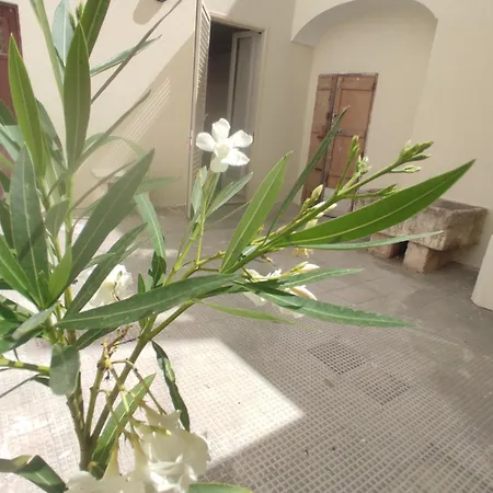 Casa Di Leo E Casa Di Enza * 알레사노